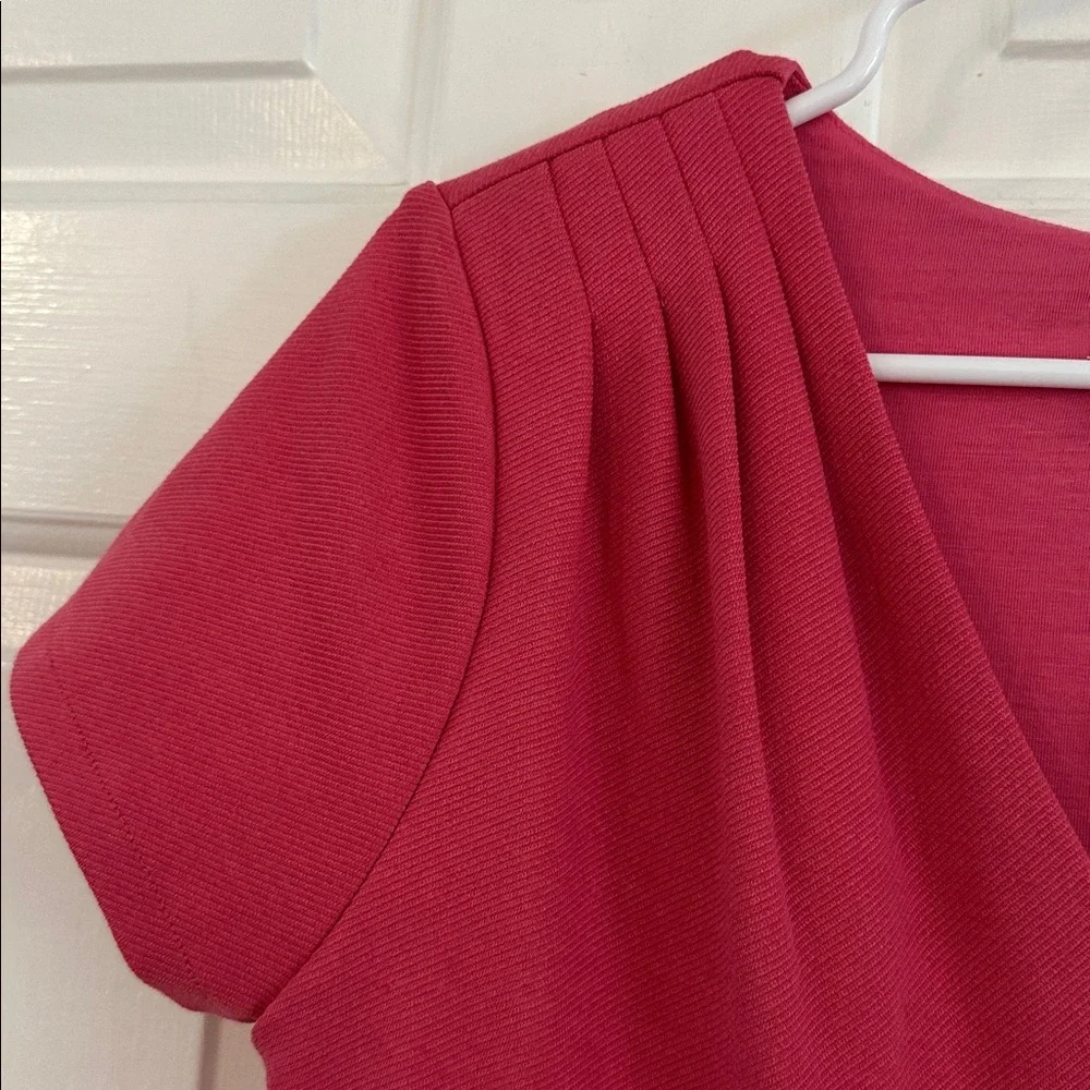 NWT Women’s by Anthropologie Lincoln Center Pink Fit & Flare Dress Size Medium